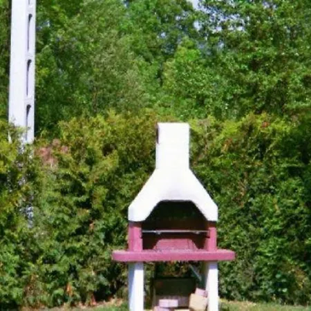 Pine Wood 5 *