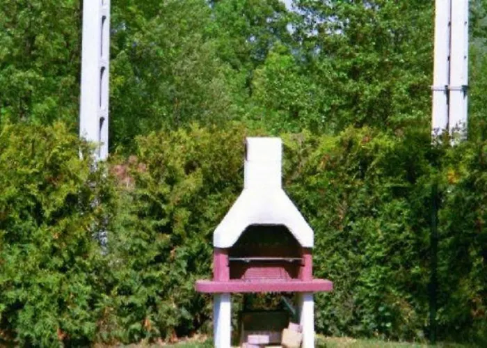 Pine Wood 5 *
